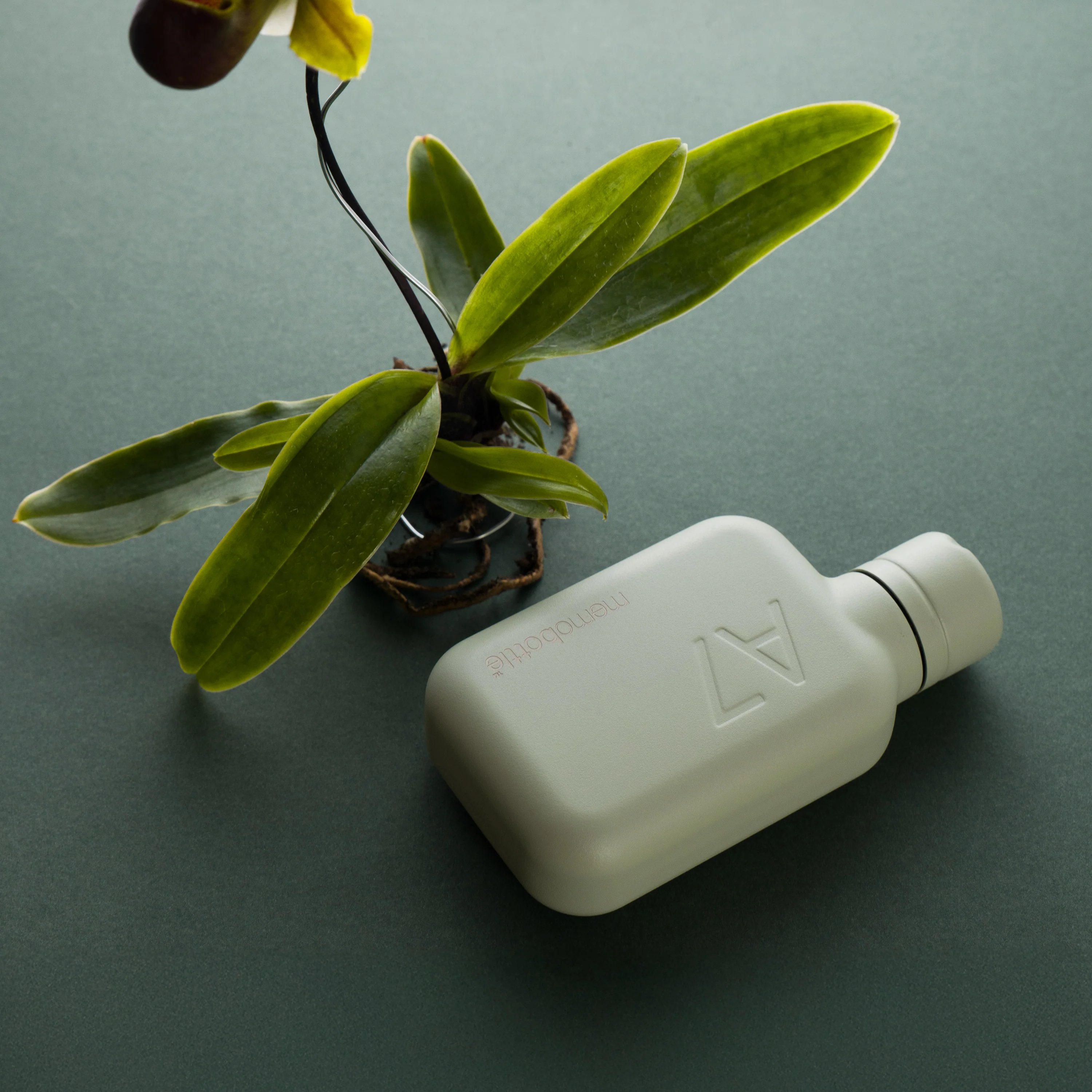 A7 memobottle (Stainless Steel) - Pistachio - Image 3