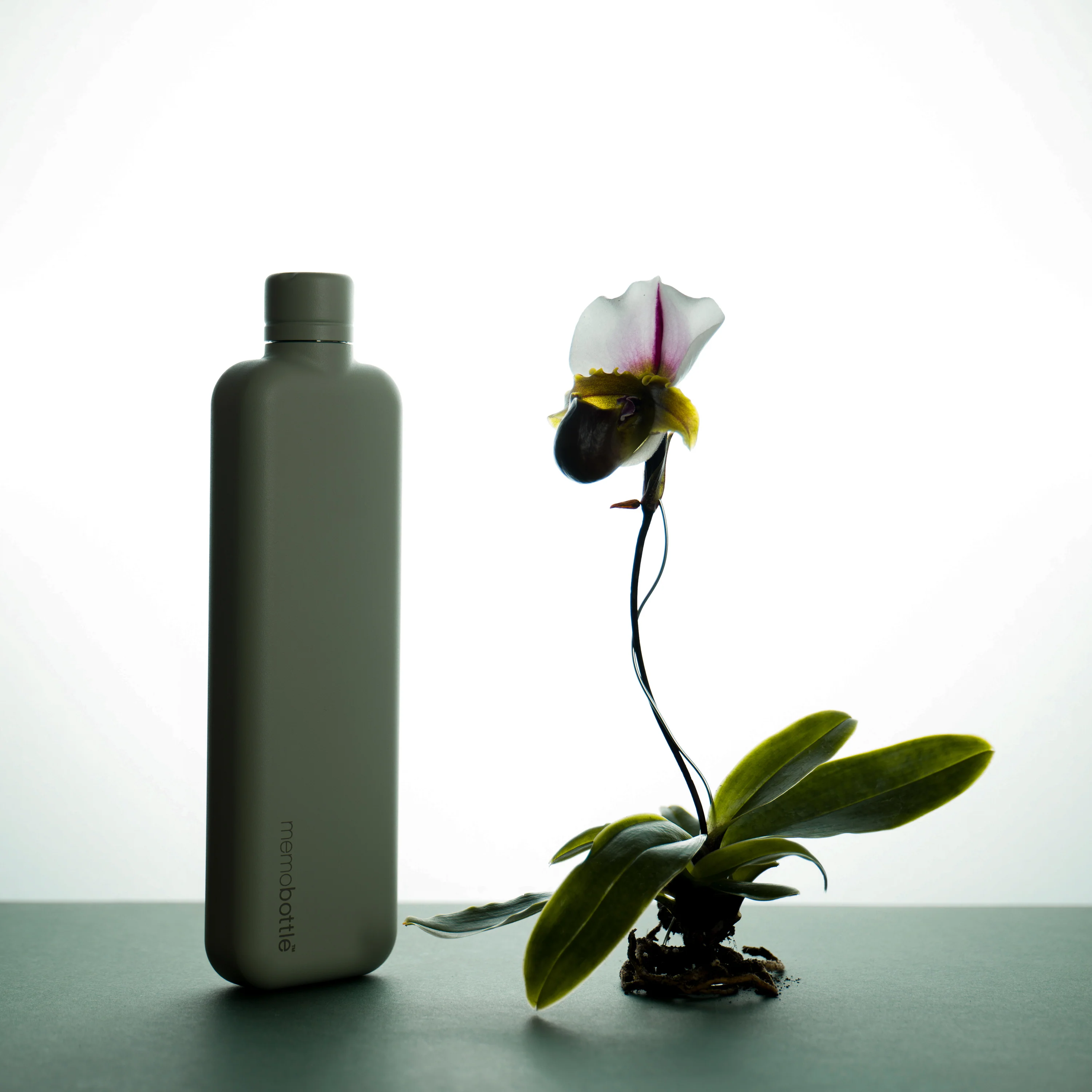 Slim memobottle (Stainless Steel) - Pistachio - Image 3